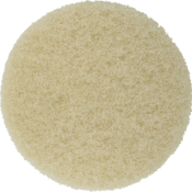 A round beige sponge on a white background.